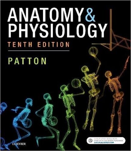 Anatomy and Physiology