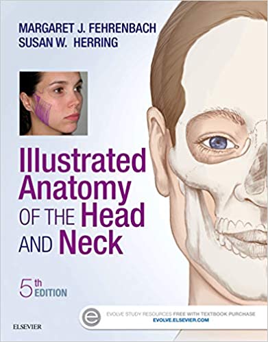 Illustrated Anatomy of the Head And Neck