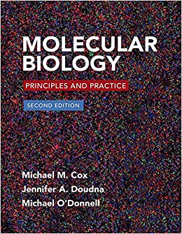 Molecular Biology Principles And Practice