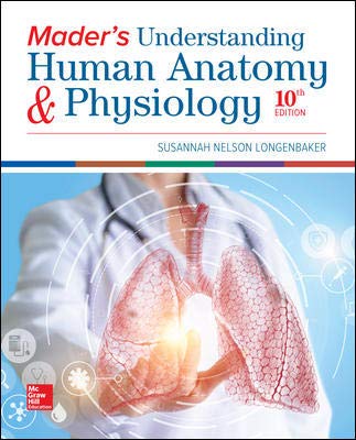 Test Bank For Maders Understanding Human Anatomy And Physiology 10th Edition Longenbaker