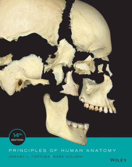 Test Bank For Principles of Human Anatomy 14th Edition