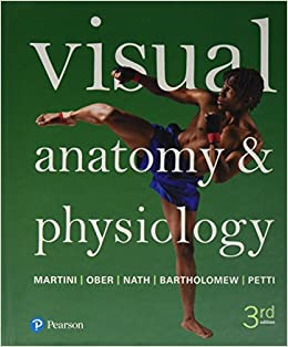 Visual Anatomy & Physiology