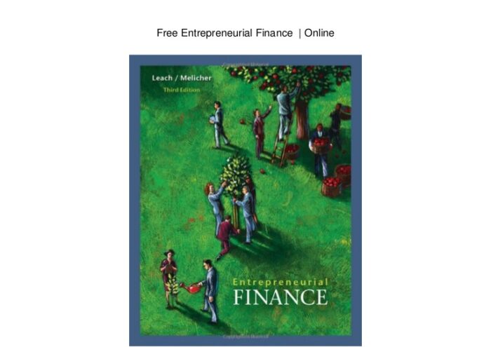 Entrepreneurial Finance