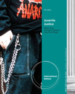 Juvenile Justice 6th International Edition by Kären M. Hess Test Bank