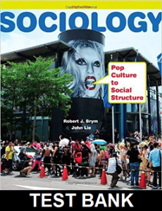 Sociology Pop Culture to Social Structure 3rd Edition Brym