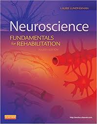 Neuroscience Fundamentals Rehabilitation 4th Edition By Lundy Ekman Test Bank