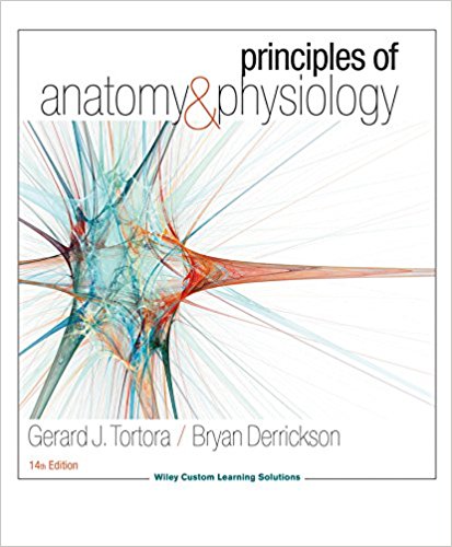 Principles of Anatomy & Physiology 14th edition by Gerard J Tortora Test Bank