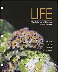 Sadava 10th Edition Life The Science of Biology Test Bank